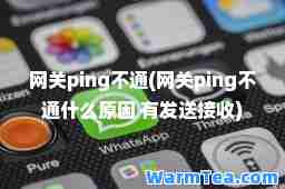 ping不通(ping不通什么原因 有发送接收)