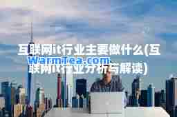 互联网it行业主要做什么(互联网it行业分析与解读)