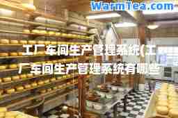 工厂车间生产管理系统(工厂车间生产管理系统有哪些)