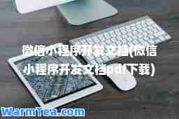 微信小程序开发文档(微信小程序开发文档pdf下载)