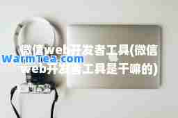 微信web开发者工具(微信web开发者工具是干嘛的)