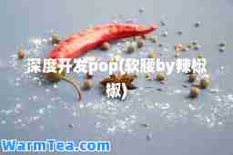 深度开发pop(软腰by辣椒椒)