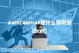 aam(aamas是什么级别会议ccf)