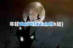 年轻人的B站(晚上看b站)