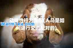 动物性行为交配(人马是如何进行交流配对的)