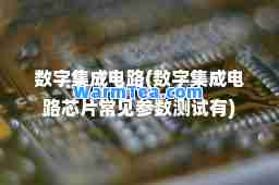 数字集成电路(数字集成电路芯片常见参数测试有)