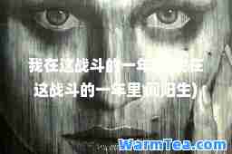 我在这战斗的一年里(我在这战斗的一年里 阎阳生)