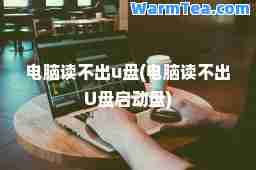 电脑读不出u盘(电脑读不出U盘启动盘)