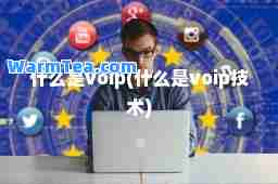 什么是voip(什么是voip技术)