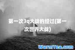 次3q大战的经过(次世界大战)