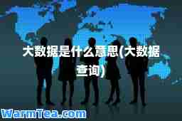大数据是什么意思(大数据查询)