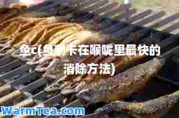 鱼c(鱼刺卡在喉咙里最快的消除方法)