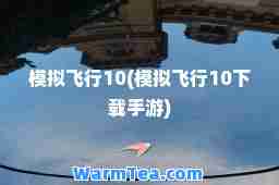 模拟飞行10(模拟飞行10下载手游)