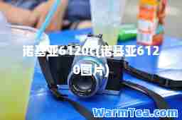 诺基亚6120c(诺基亚6120图片)