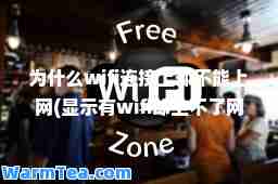 为什么wifi连接上却不能上网(显示有wifi却上不了网怎么回事)