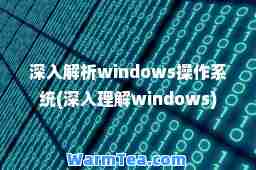 深入解析windows操作系统(深入理解windows)