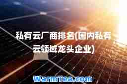 私有云厂商排名(国内私有云领域龙头企业)