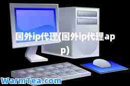 国外ip代理(国外ip代理app)