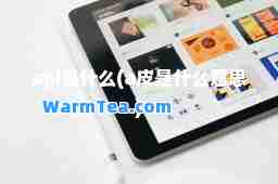 api是什么(a皮是什么意思)