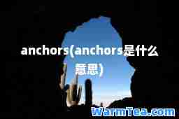 anchors(anchors是什么意思)