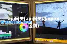 api(api和nginx区别)