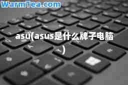 asu(asus是什么牌子电脑)