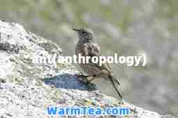 ant(anthropology)