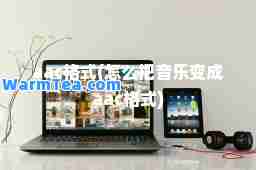 aac格式(怎么把音乐变成aac格式)