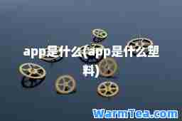 app是什么(app是什么塑料)