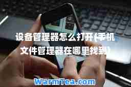 设备管理器怎么打开(手机文件管理器在哪里找到)