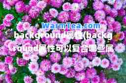 background属性(background属性可以复哪些属性)