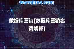 数据库营销(数据库营销名词解释)