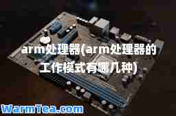 arm处理器(arm处理器的工作模式有哪几种)