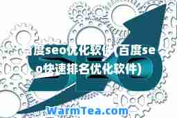 百度seo优化软件(百度seo快速排名优化软件)