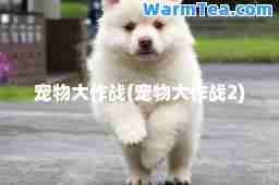 宠物大作战(宠物大作战2)