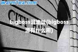 bigboss源地址(bigboss源有什么用)