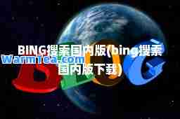 BING搜索国内版(bing搜索国内版下载)