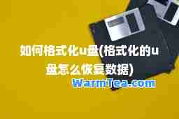 如何格式化u盘(格式化的u盘怎么恢复数据)