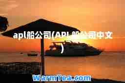 apl船公司(APL船公司中文)