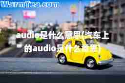 audio是什么意思(汽车上的audio是什么意思)