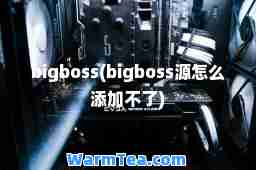 bigboss(bigboss源怎么添加不了)