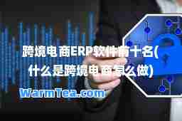 跨境电商ERP软件前十名(什么是跨境电商怎么做)