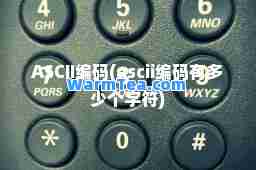 ASCII编码(ascii编码有多少个字符)