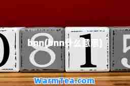 bnn(bnn什么意思)