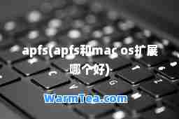 apfs(apfs和mac os扩展哪个好)