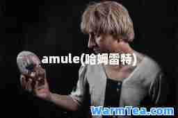 amule(哈姆雷特)