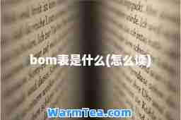 bom表是什么(怎么读)