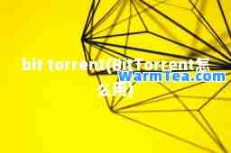 bit torrent(BitTorrent怎么用)