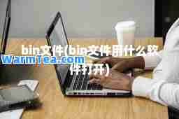 bin文件(bin文件用什么软件打开)