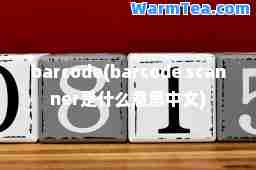 barcode(barcode scanner是什么意思中文)